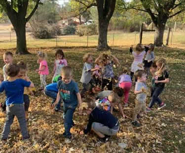 Kids & Leaves