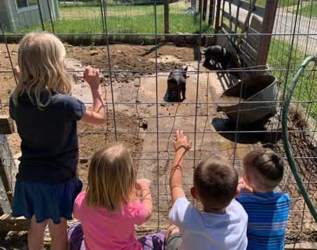 Kids & Piglets